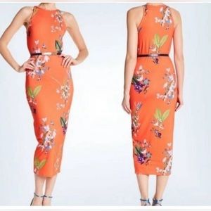EUC Ted Baker Midi Floral Dress